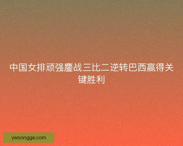 中国女排顽强鏖战三比二逆转巴西赢得关键胜利
