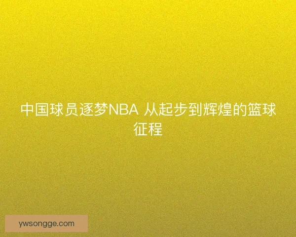 中国球员逐梦NBA 从起步到辉煌的篮球征程