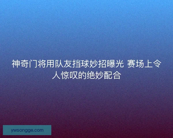 神奇门将用队友挡球妙招曝光 赛场上令人惊叹的绝妙配合